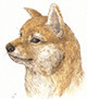 img486b.jpg