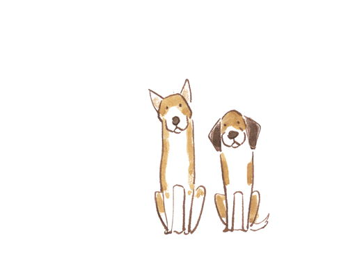 20200416.gif